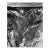 1969 Don Ware Yellowstone River Landscape Photograph For Sale