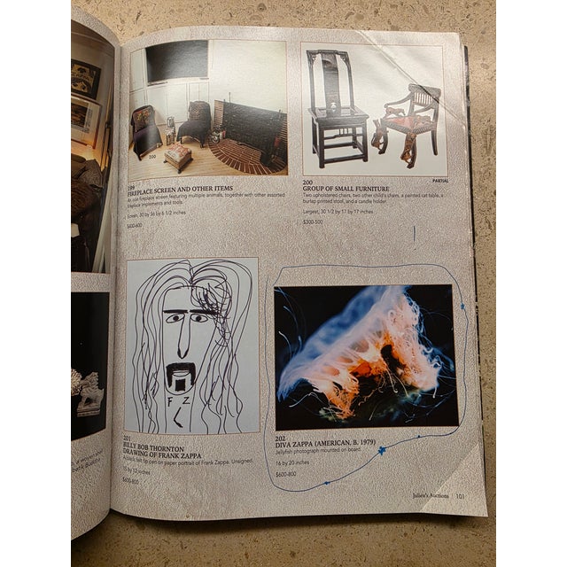 Frank and Gail Zappa Estate 1970s Diva Zappa Jellyfish Photo on Board For Sale - Image 14 of 16