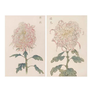 Whispering Petals Diptych – Vintage Japanese Botanical Prints (Set of 2), 8" X 12" For Sale
