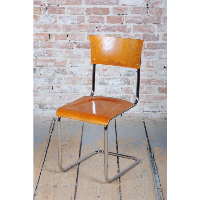Brown Vintage Bauhaus Chairs in Beech and Chrome, Czech, 1930s, Set of 8 For Sale - Image 8 of 12