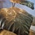 Brass Rhubarb Leaf Lamp by Tommaso Barbi, 1970s For Sale - Image 10 of 13