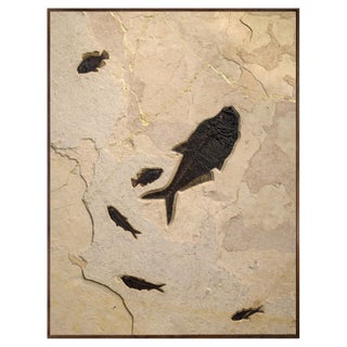Fossil Fish & Kinstugi Mural For Sale