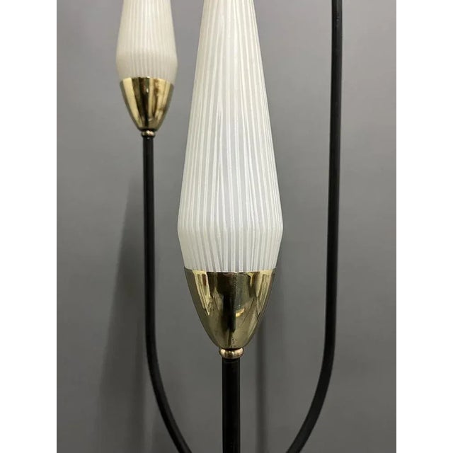 Floor Lamp from Maison Lunel, France, 1950s For Sale - Image 9 of 12