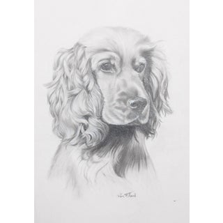 Rex Flood "Irish Setter" Dog For Sale