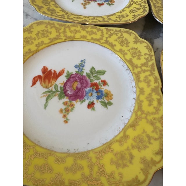 Gorgeous set of early 20th century Czechoslovakia and painted plates