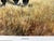 1990s Jocelyn Lillpop Russell Boundary Line Bison Buffalo Yellowstone National Park Signed Numbered American Print For Sale - Image 4 of 11