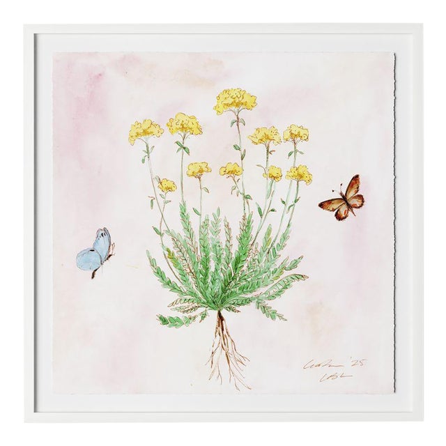 Blush Botanical 2 by Lia Burke Libaire in White Frame, Medium Art Print on Paper For Sale