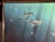1980s William Schimmel Jr. "Passage of the Dolphin" Original Oil Painting, Signed 1987, 30x40 For Sale - Image 5 of 10