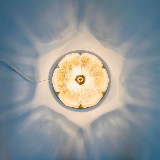 Large Mid-Century Floral Glass & Brass Ceiling Light from Limburg, Germany, 1970s For Sale - Image 9 of 13