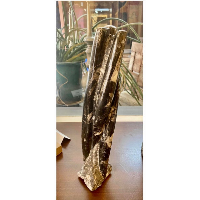 2020s Genuine Polished Orthoceras Fossil For Sale - Image 5 of 5