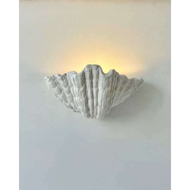 Vintage Plaster Seashell Wall Sconces attributed to S. Roche, France, 1920s, Set of 2 For Sale - Image 6 of 9