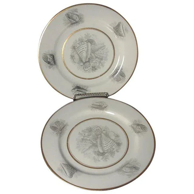 19th Century 1810 Worcester Porcelain Flight Barr Bat Printed Sea Shell Dinner Plates - A Pair For Sale - Image 5 of 5