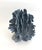 Natural Blue Coral specimen with remnants of sea life attached and a cut and polished base to protect surfaces. Each piece...