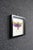Early 21st Century Framed Titanacris Albipes Purple-Winged Grasshopper Shadow Box For Sale - Image 5 of 8