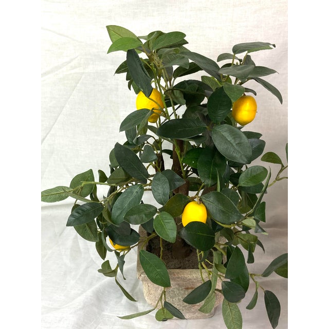 Faux Lemon Trees Ceramic Planters Pair of 2 Chairish
