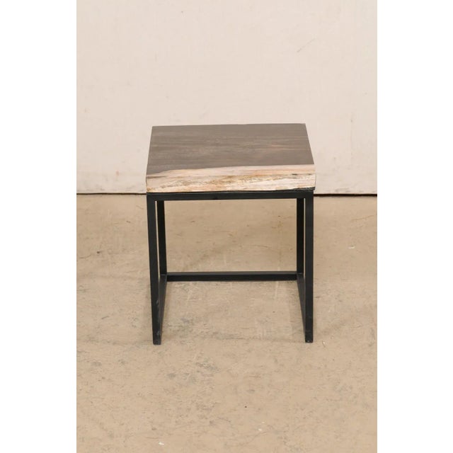 Petrified Wood Small End/Coffee Tables - a Pair For Sale - Image 11 of 11