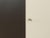 Chest of Drawers from Oldenburger Möbelwerkstätten, 1950s For Sale - Image 6 of 9