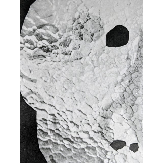 Pablo Picasso, Diurnes, Original Photoengraving, 1962 For Sale - Image 3 of 5