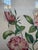 A Hand Colored Engraving of Pink Roses For Sale In Lexington, KY - Image 6 of 15