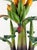 Green Mid-Century Hand-Carved Wooden Banana Tree Sculpture, South America, 1950s For Sale - Image 8 of 18