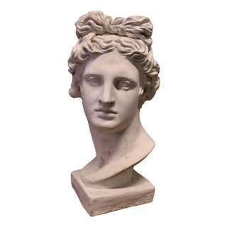 Large Heavy Bust of Apollo For Sale