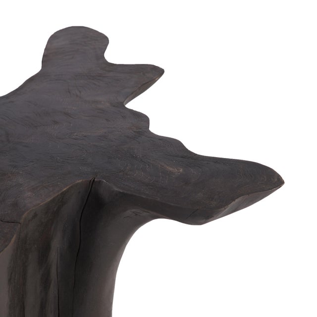 Organic Modern Star Black Teak Root Coffee Table Chairish