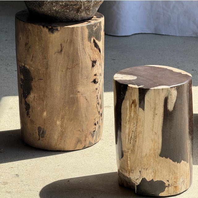 Side Table in Brown and Black Petrified Wood, 1980s For Sale - Image 16 of 18