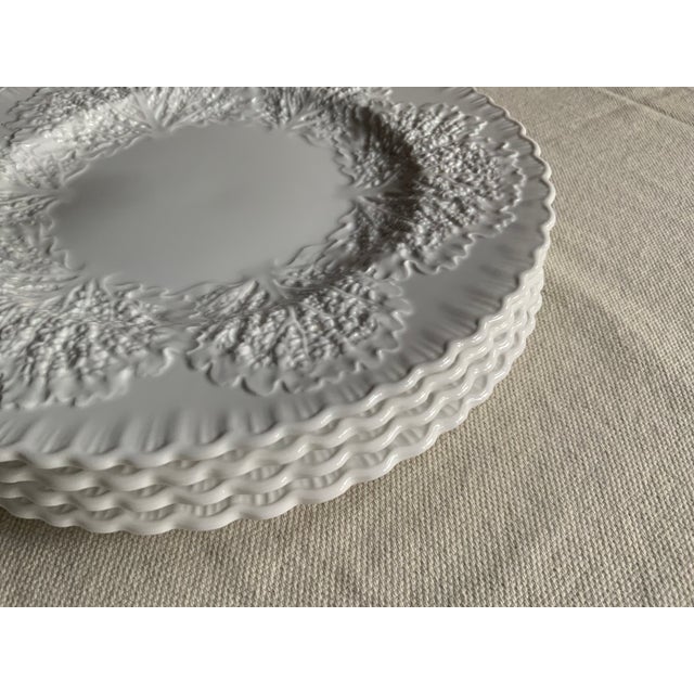 1930s Spode Savoy Cabbage Leaf Embossed White Dinner Plates — English Bone China, Set of 4 For Sale - Image 6 of 18