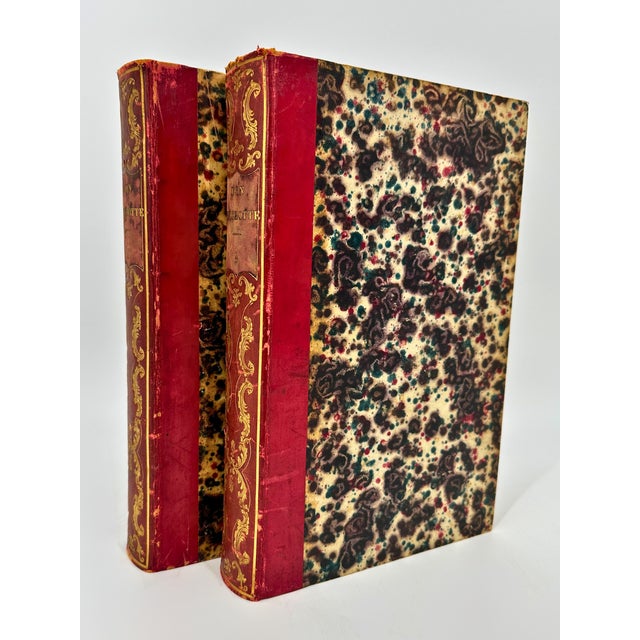 French translated Don Quichotte books 1 & 2. A classic of Spanish literature. Second Volume. 1837. Title Page reads:...