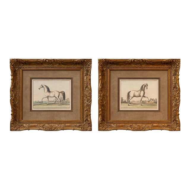 1980s Monumental French Equestrian Style Engravings in Deep Antiqued Gilt Frames – Pair For Sale