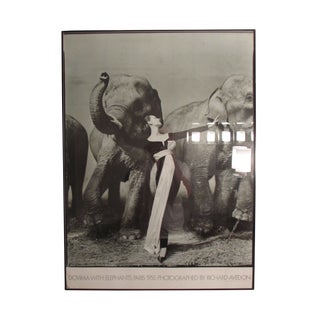 Richard Avedon Dovima with Elephants Offset Litho For Sale