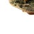 Small Earthenware Plate with Reptiles from Caldas, 19th Century For Sale - Image 3 of 6