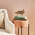 Early 21st Century Sly Fox Sculpture For Sale - Image 5 of 8