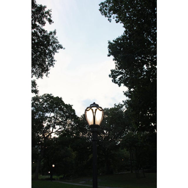 Light Symphony by Stuart Möller A lamp post in Central Park New York City, New York USA. Archival Pigment Print signed and...