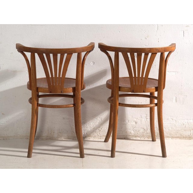 Bentwood Chairs in the style of Thonet, Hungary, 1960, Set of 2 For Sale - Image 6 of 12