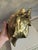 Metal Vintage Large Brass Conch Seashell Planter For Sale - Image 7 of 7