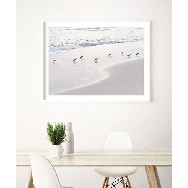 Paper Contemporary Minimalist Coastal Art Print, 45 X 30" Fine Art Photograph, 'Sanderlings' Sandpiper Print, Neutral Beach Wall Art For Sale - Image 7 of 8