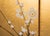"Sakura", C. 1960s Showa Era Japanese Painted Byobu Screen For Sale - Image 10 of 18