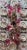 LastCHANCE!Vintage Kim Seybert Harlequin Napkin Rings - Set of 3 For Sale - Image 11 of 12