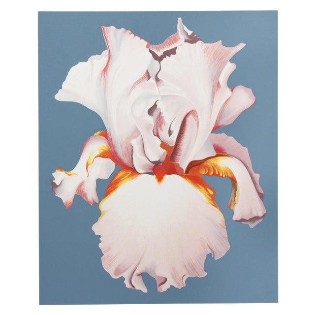 Lowell Nesbitt, " White Iris on Blue Ii", Photorealist Flower Screenprint For Sale