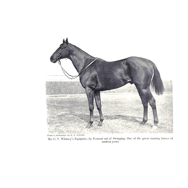 "The Year Book of the Horse" 1934 Kelley, Robert F. For Sale - Image 9 of 11