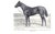 "The Year Book of the Horse" 1934 Kelley, Robert F. For Sale - Image 9 of 11