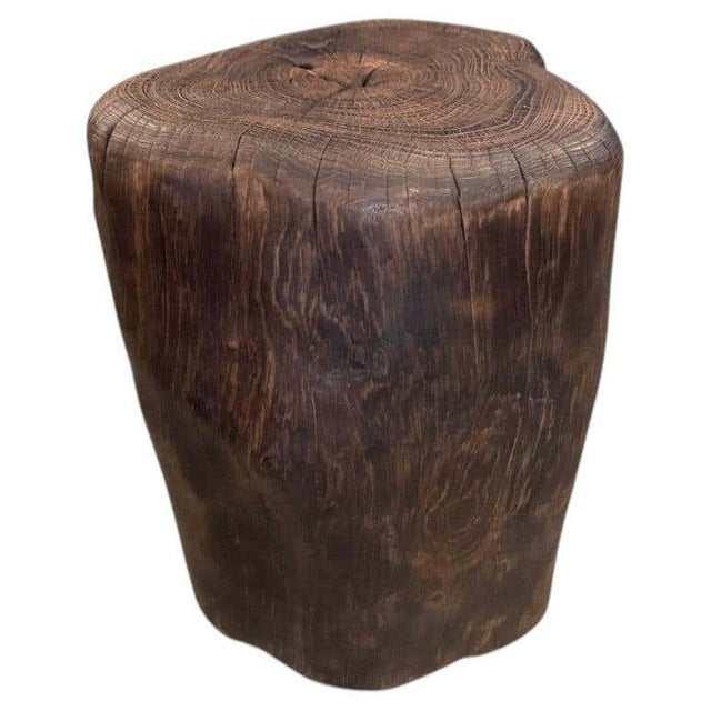Andrianna Shamaris Modern Organic Charred Teak Wood Tall Side Table For Sale
