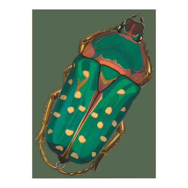 Bugs by Seguy #28 For Sale