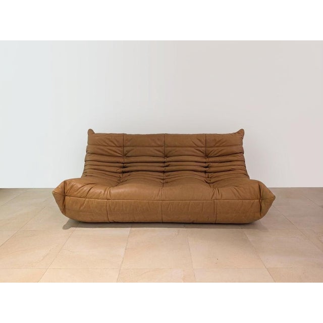 Togo Chairs by Michel Ducaroy for Ligne Roset, 1973, Set of 2, in Flawless conditions. Designed 1970 to 1979 This piece...