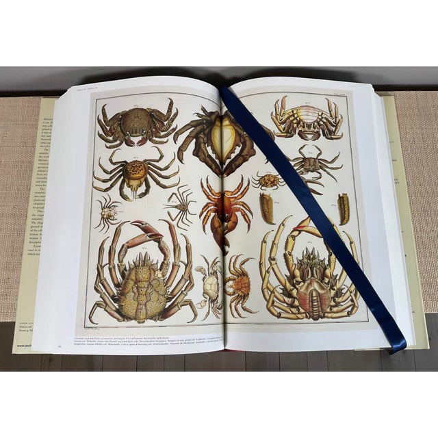 Traditional Vintage Albertus Seba “Cabinet of Natural Curiosities” Coffee Table Book by Taschen For Sale - Image 3 of 9