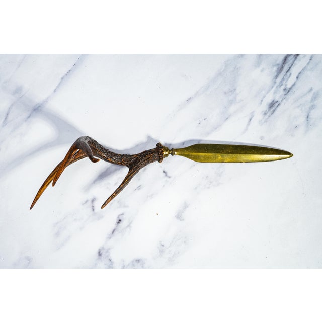 Bone Impressive Large Antler Brass Desk Letter Opener Rustic Home Office Decor For Sale - Image 7 of 12