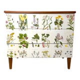 1950's Swedish Dresser With Nordens Flora Illustrations For Sale