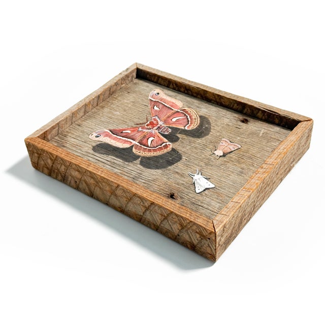 Rustic Vintage 1970's Hand-Painted Wooden Moth Folk Art Panel in Hand-Carved Tramp Art Frame For Sale - Image 3 of 3