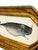 Nautical Original Hand-Painted Whale Painting in a Vintage Frame For Sale - Image 3 of 3